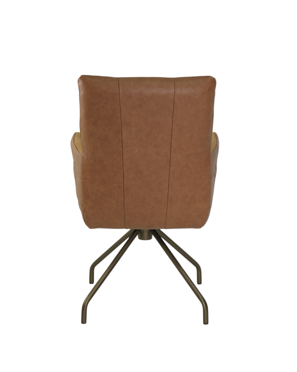 _C085-ASabbia_AstonMustard-06No.13
