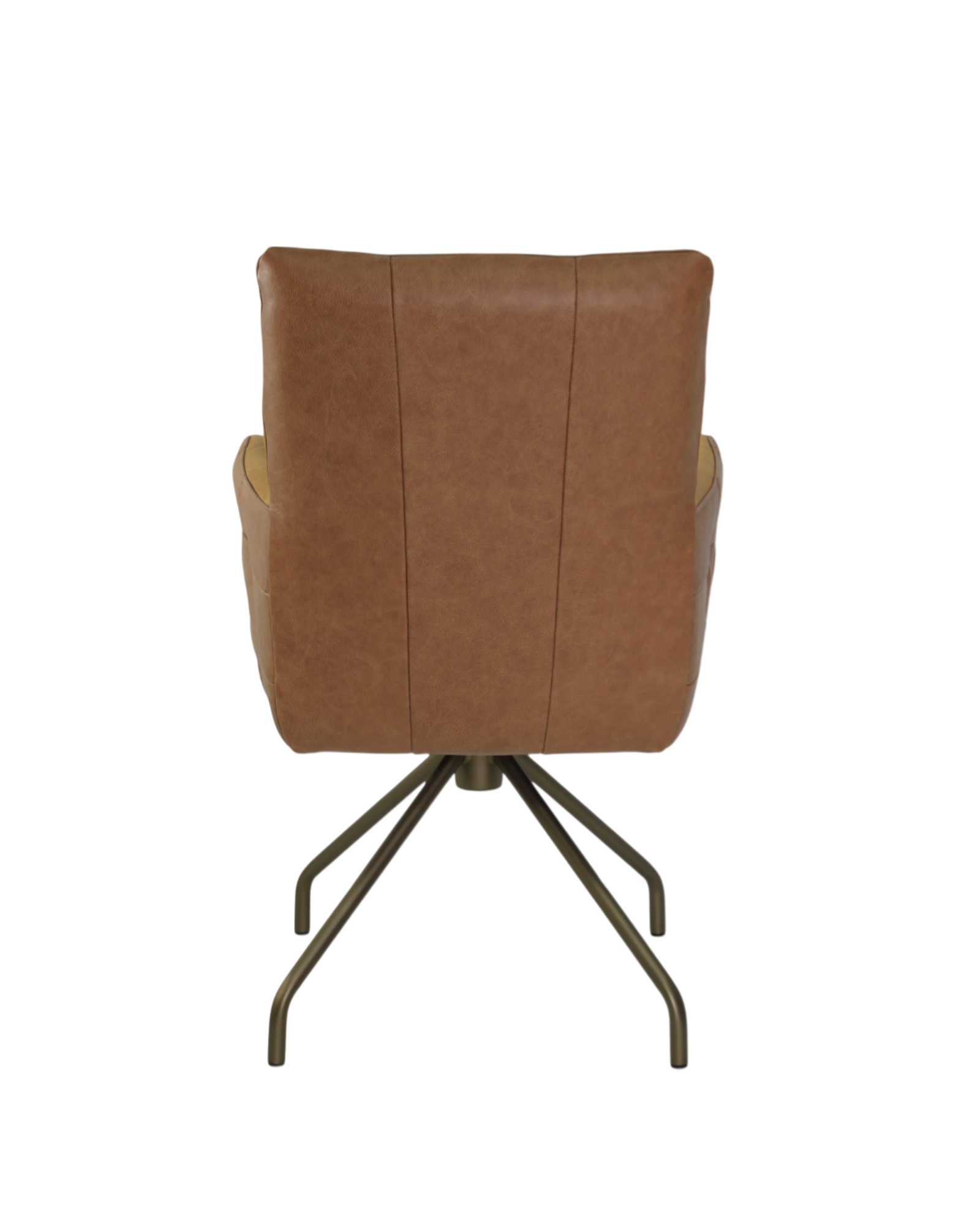 _C085-ASabbia_AstonMustard-06No.13