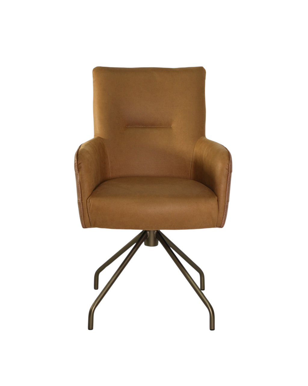 _C085-ASabbia_AstonMustard-06No.13
