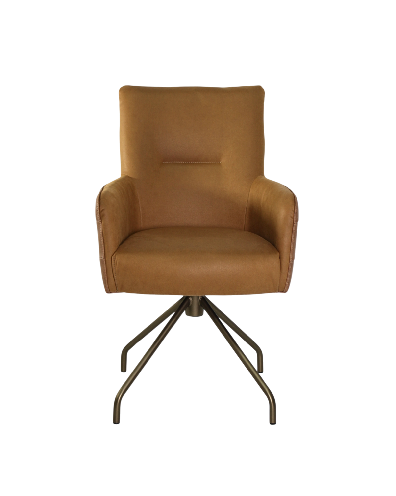 _C085-ASabbia_AstonMustard-06No.13