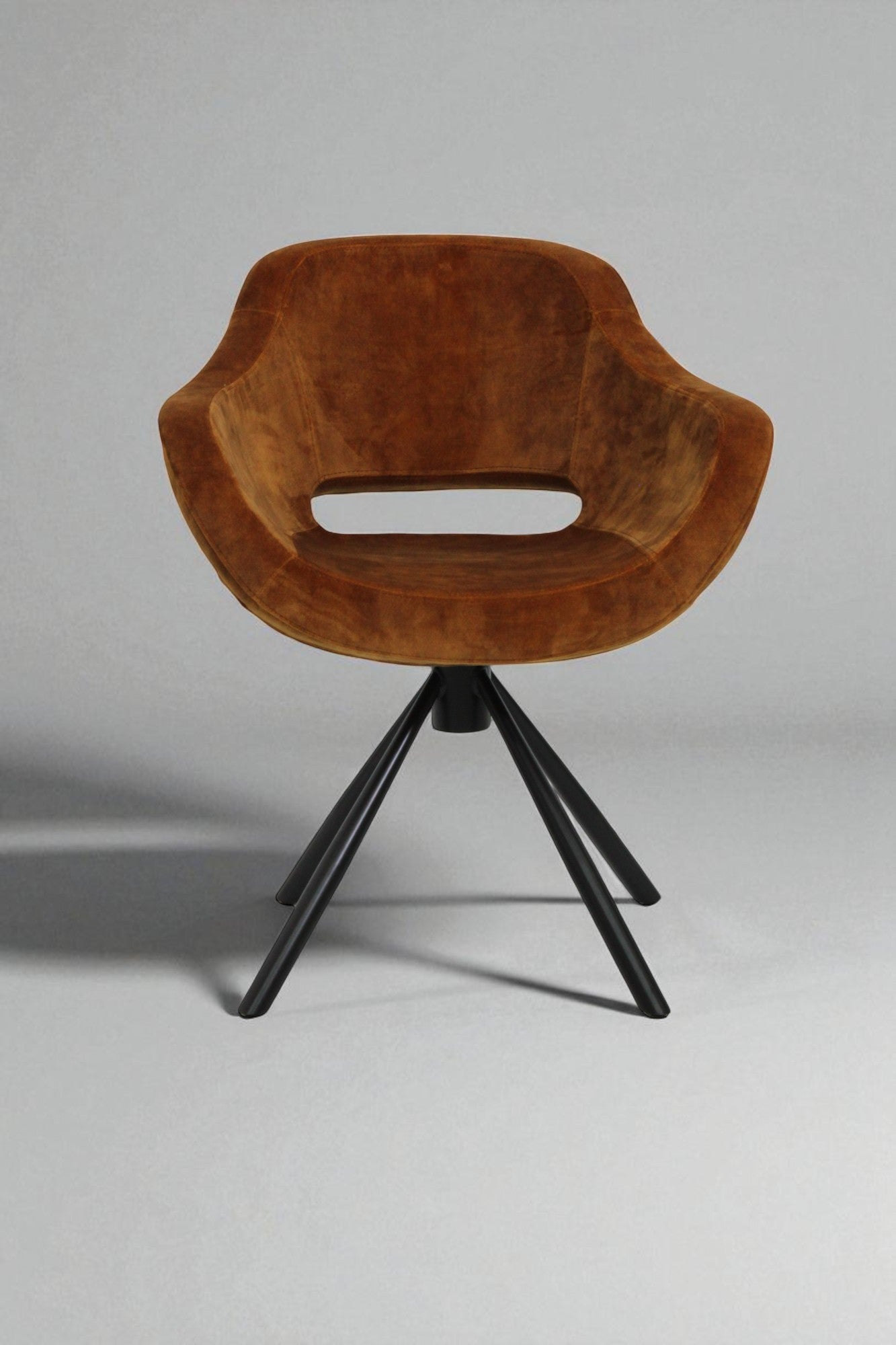 C_C141.CBon.-Walnut