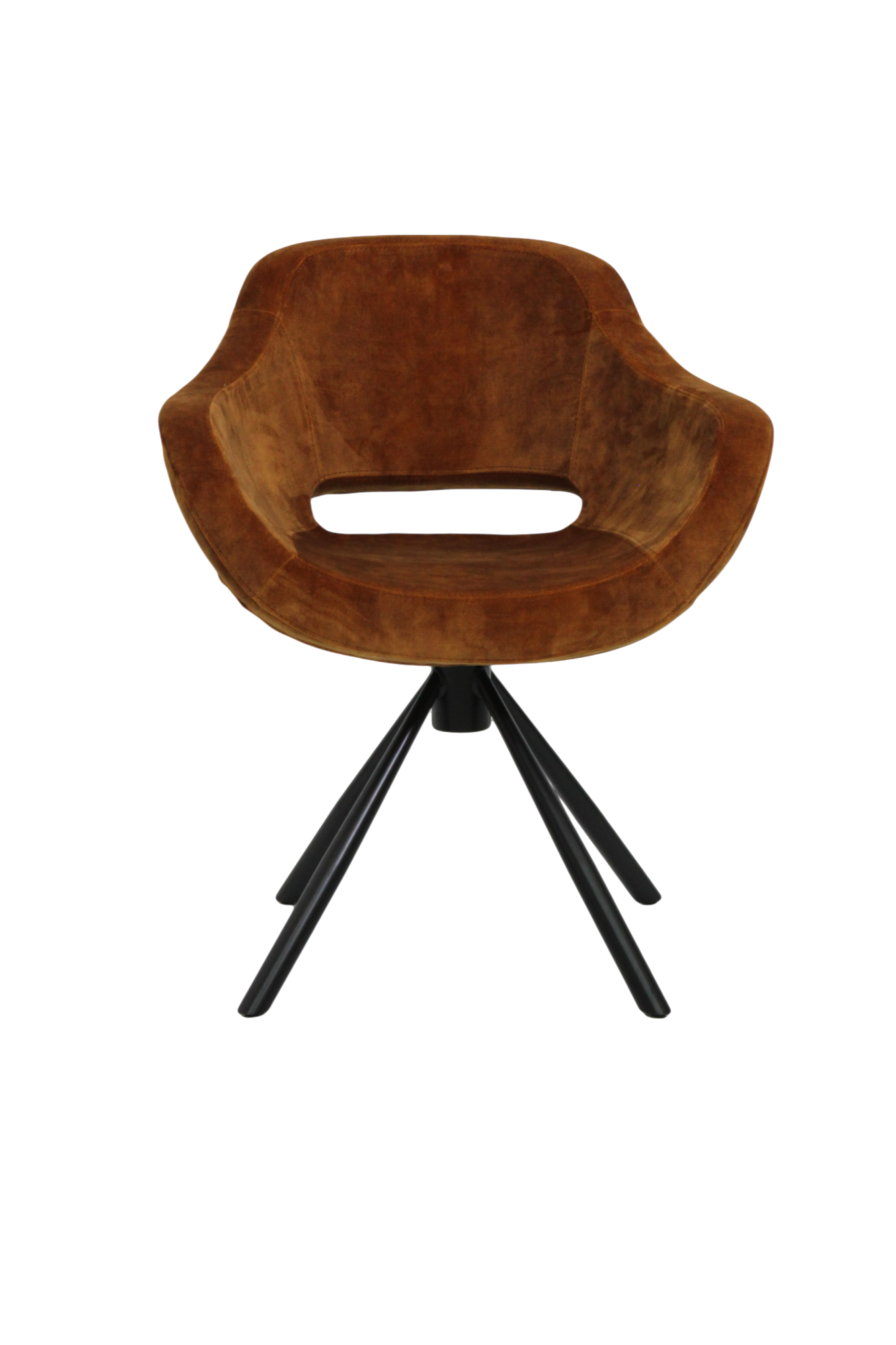 C_C141.CBon.-Walnut