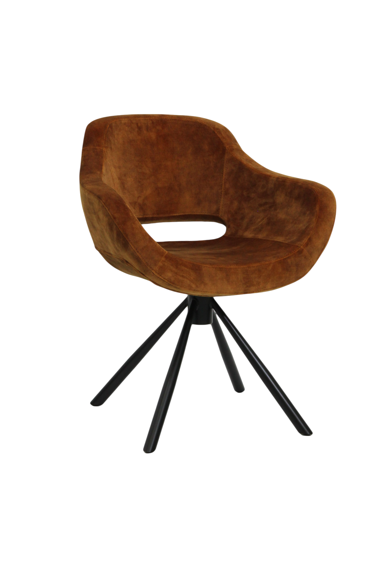 C_C141.CBon.-Walnut
