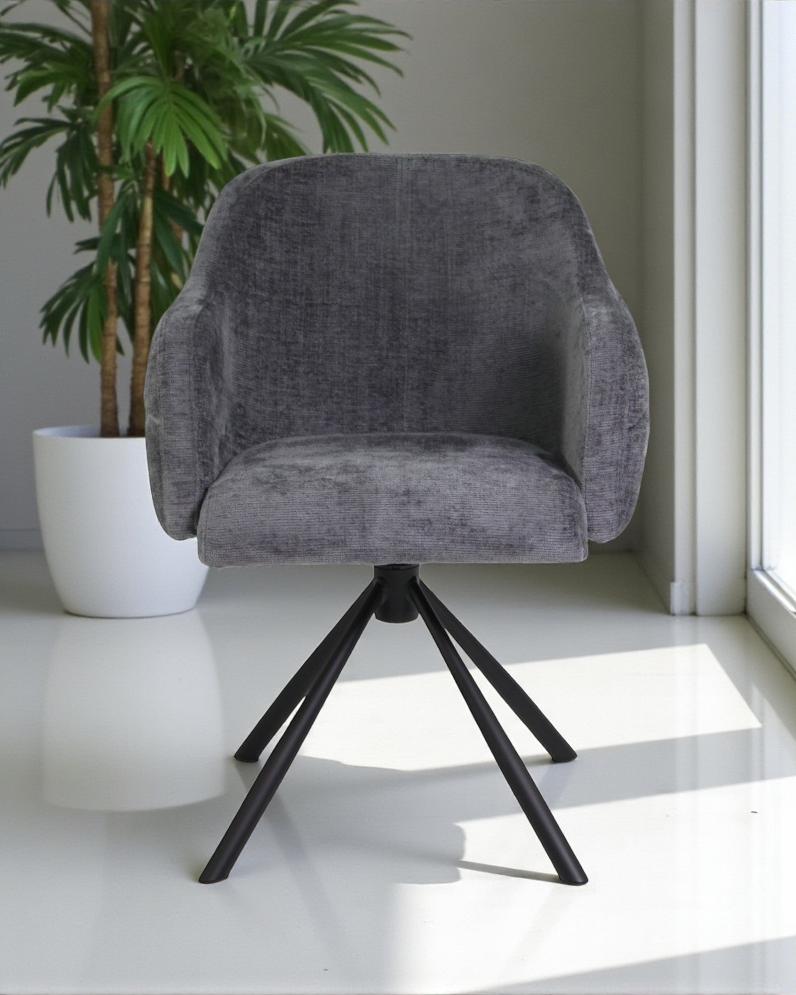 C&C30-C Baltimore Anthracite No.05-